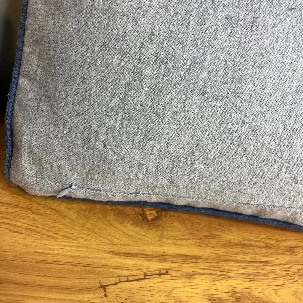 Restoration Hardware Baby & Child Dinosaur Skateboard Lumbar Pillow Feather Down